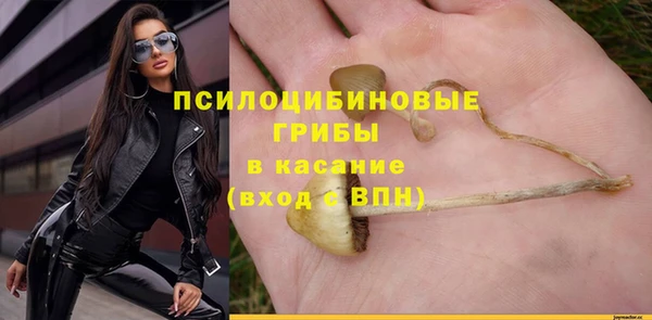 ГАЛЛЮЦИНОГЕННЫЕ ГРИБЫ Куйбышев