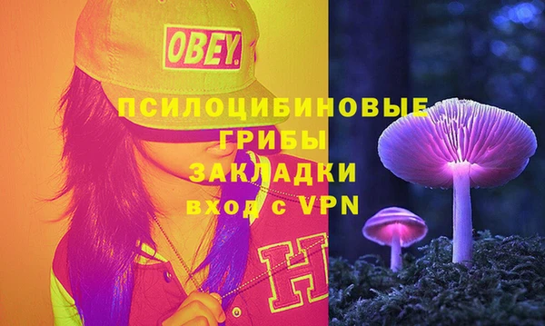 ГАЛЛЮЦИНОГЕННЫЕ ГРИБЫ Куйбышев