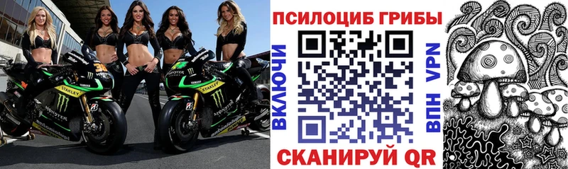 Псилоцибиновые грибы прущие грибы  магазин продажи наркотиков  Приволжский 